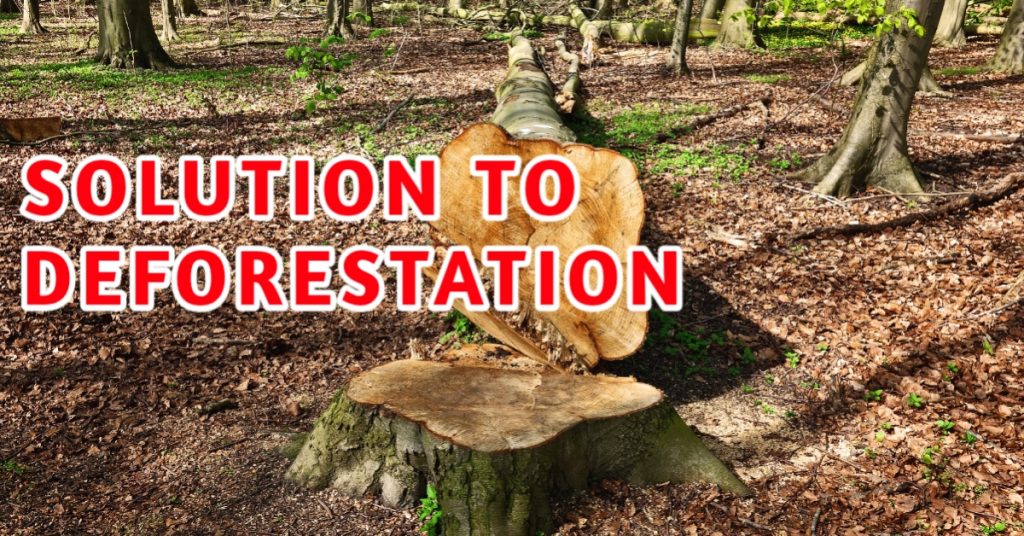 solution to deforestation